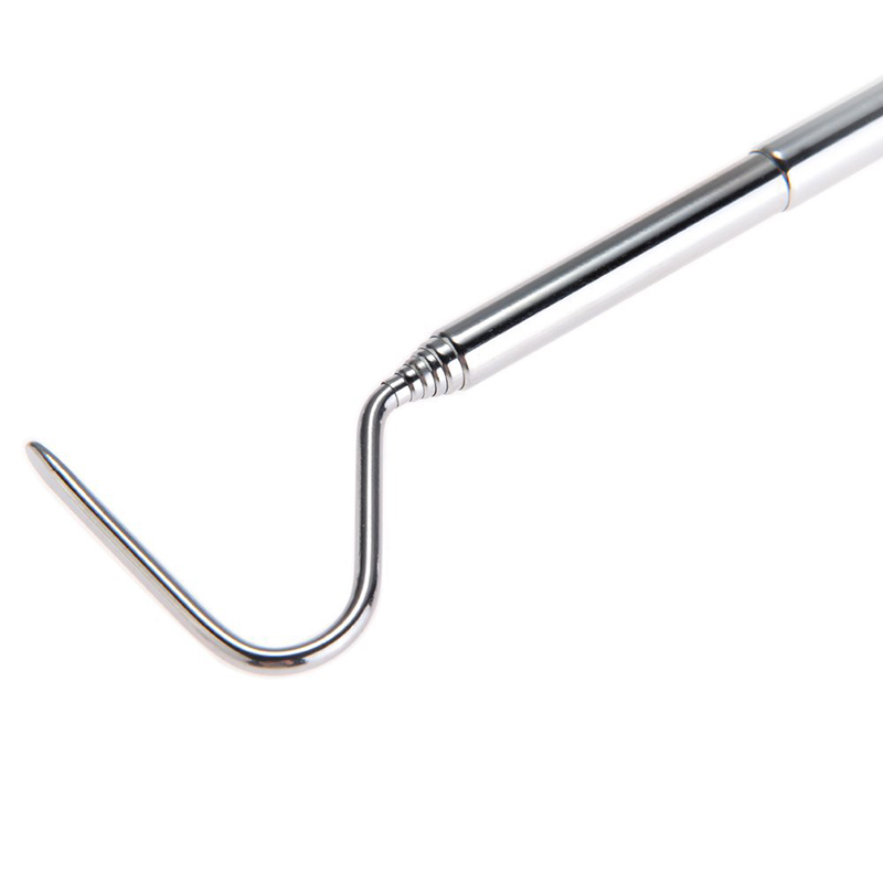 Aquarium Fish Accessories - Động Vật Bò Sát Hồ Cá
