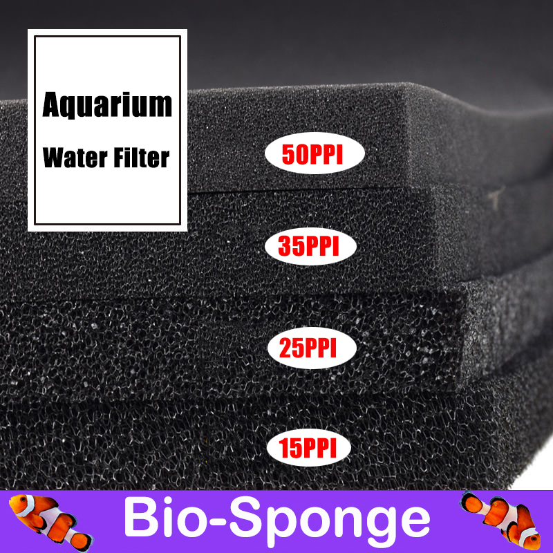 Aquarium Fish Black - Bể Cá Cảnh Sinh Hóa Bông