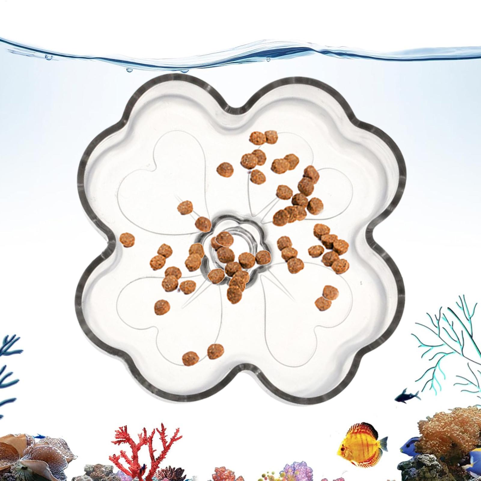 Tetra Fish In Aquarium - Aquarium Feeder Tray Suction Cup Flower