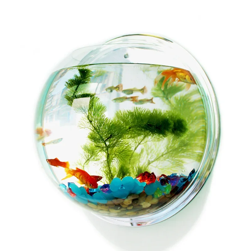 Aquarium Fish In Bowl - Pinsjar Acrylic Cá Bát Treo Tường