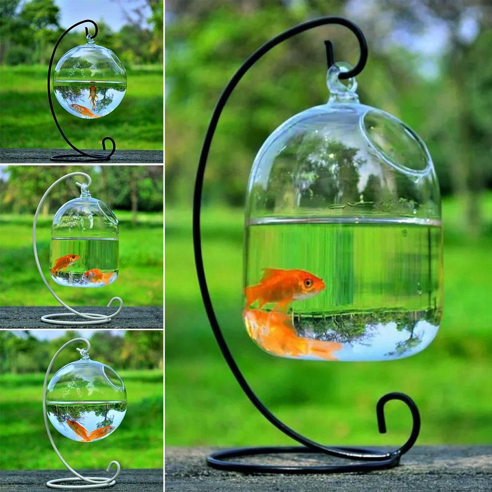 Aquarium Fish In Bowl - Aquarium Decoration Wall Hanging With Rack