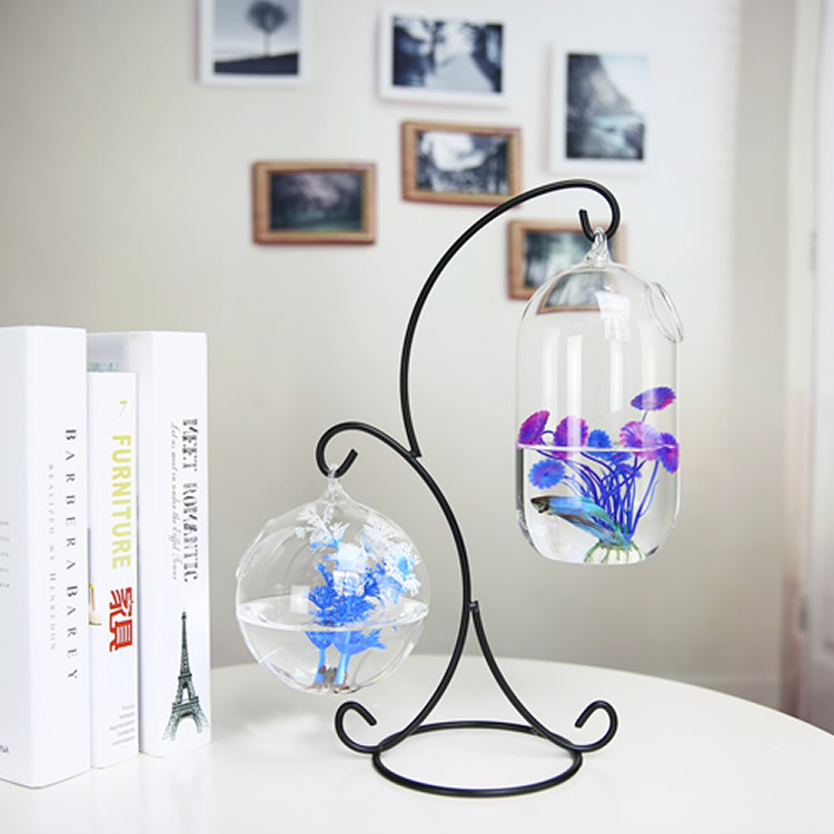 Aquarium Fish In Bowl - Sáng Tạo Hai Tầng Đình Chỉ