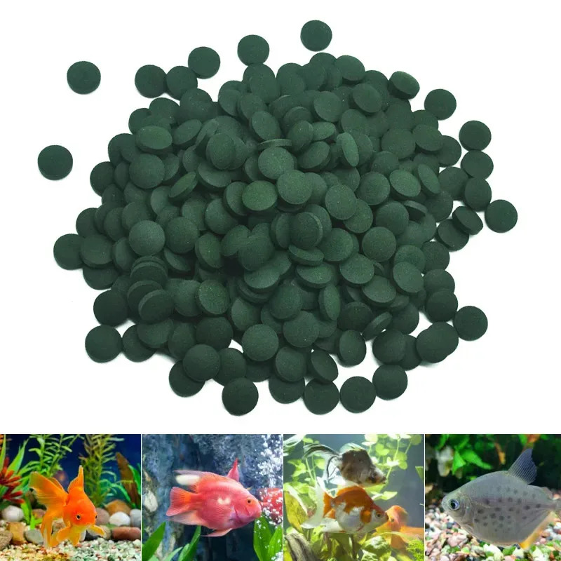 100-3000pcs High Purity Spirul - đánh giá và giá Aquarium Fish Vitamin