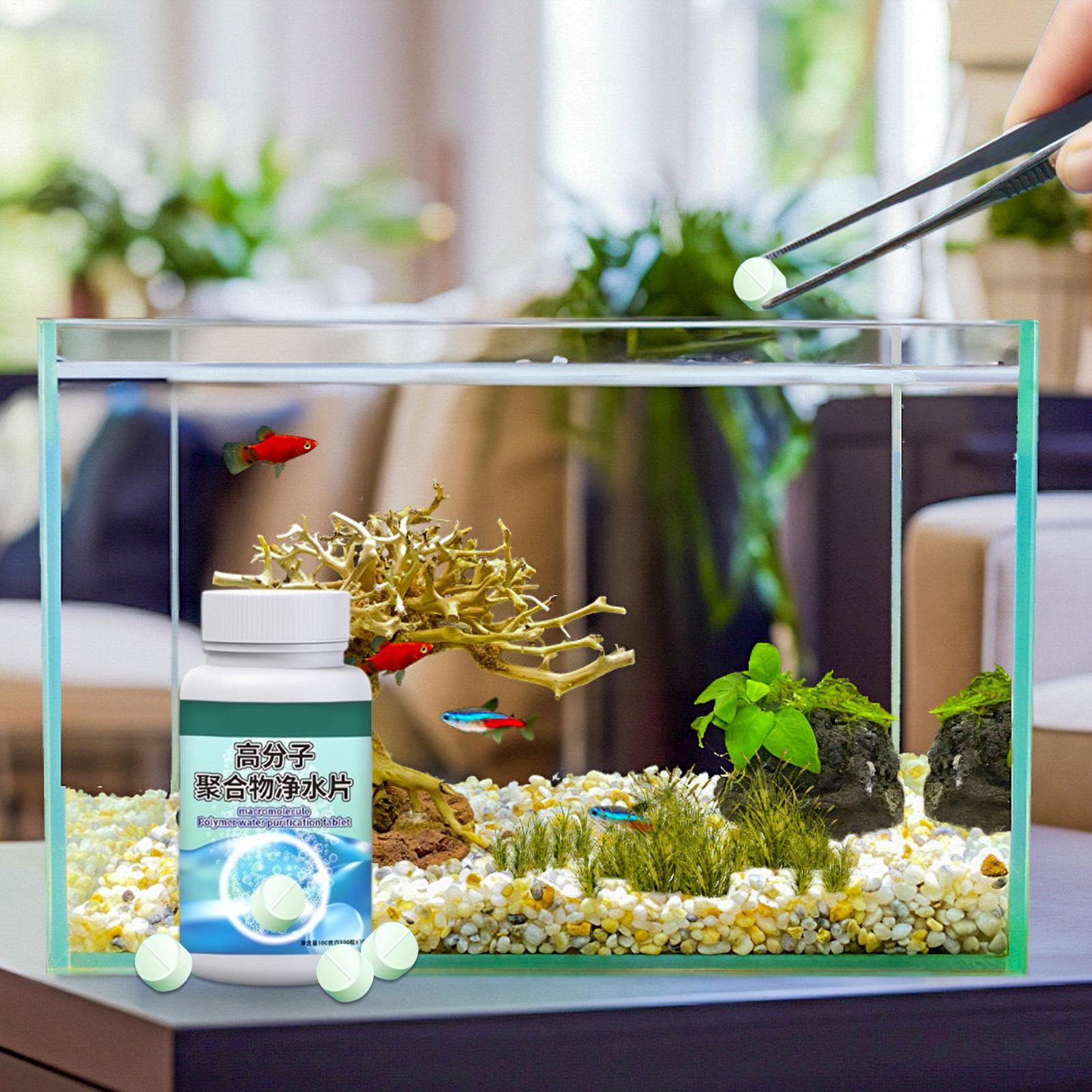 Fish Can Algae Remover Aquariu - đánh giá và giá Aquarium Fish Tank Cleaner