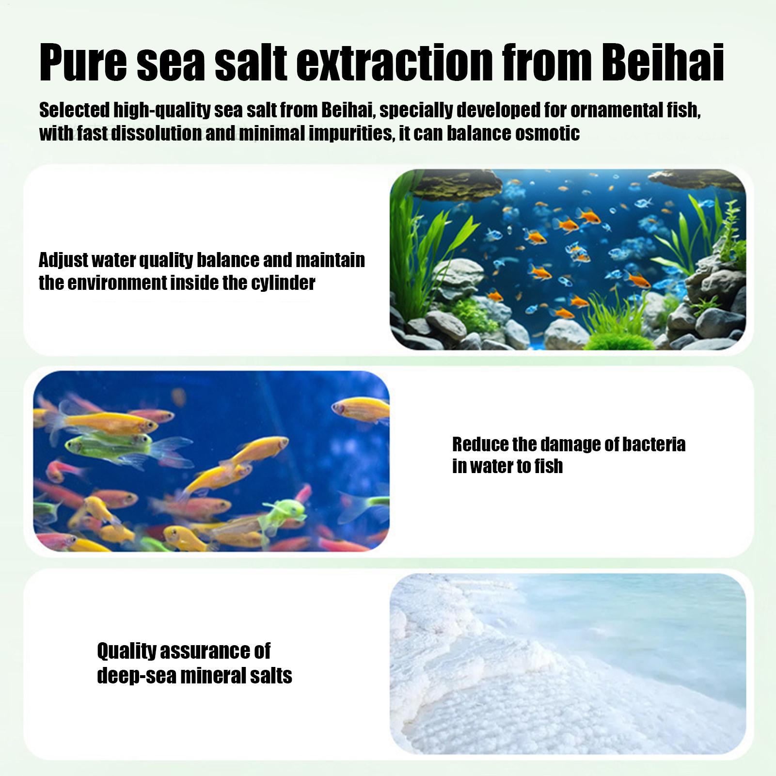 Fish Can Algae Remover Aquariu - đánh giá và giá Aquarium Fish Tank Cleaner