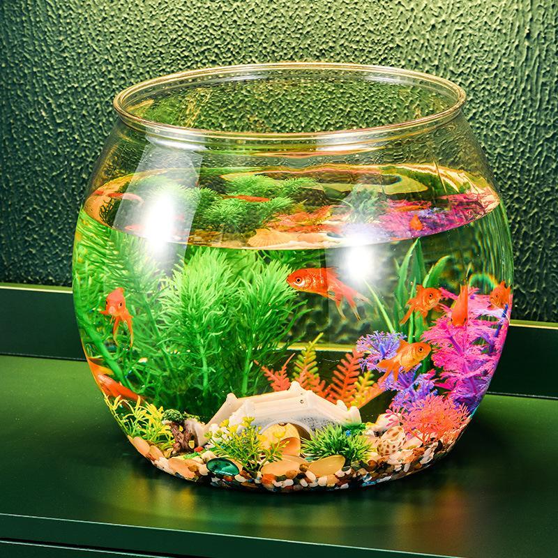 Clear Plastic Fish Bowl Leakpr - đánh giá và giá Aquarium Fish In Bowl