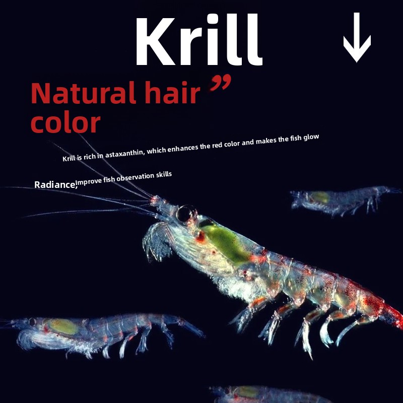 Huiqiancai Micro Pellets Fish  - đánh giá và giá Tetra Fish In Aquarium