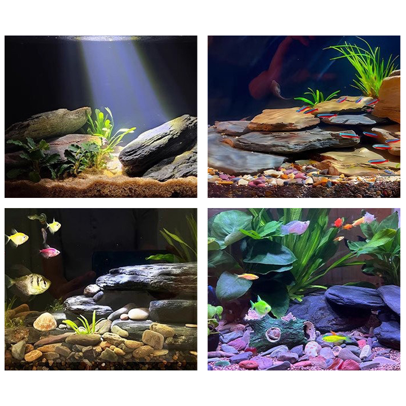 500/1000g Fish Tank Landscape  - đánh giá và giá Aquarium Fish Cichlid