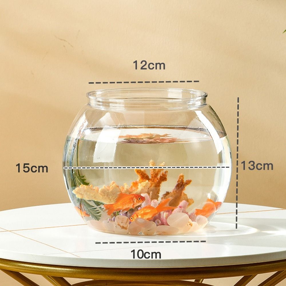 Home Decor Clear Transparent R - đánh giá và giá Aquarium Fish In Bowl