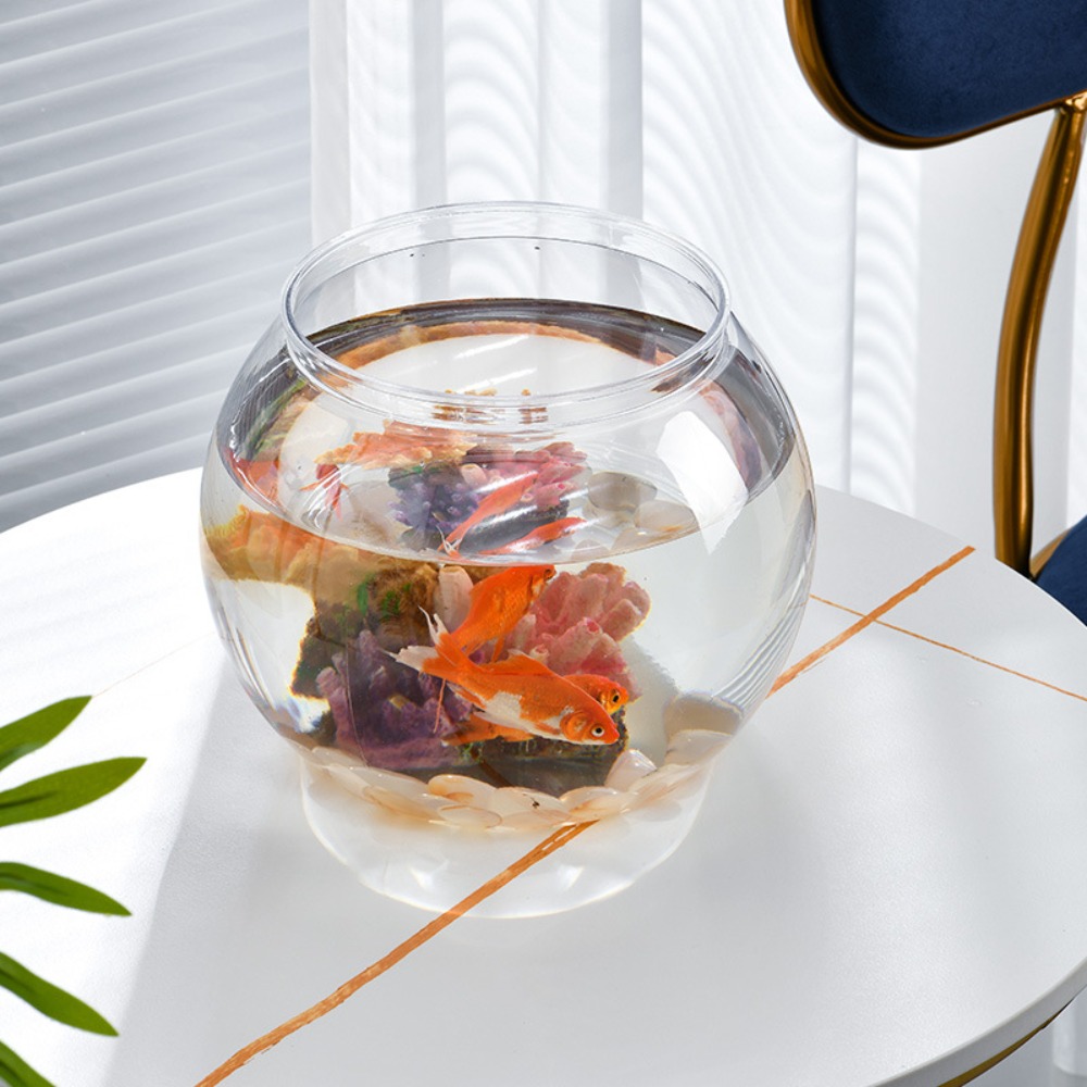 Home Decor Clear Transparent R - đánh giá và giá Aquarium Fish In Bowl