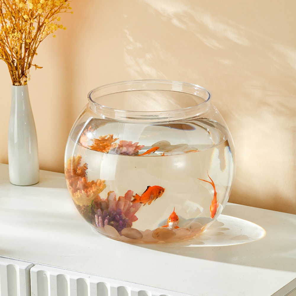 Home Decor Clear Transparent R - đánh giá và giá Aquarium Fish In Bowl
