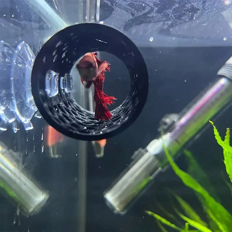 Aquarium Fish Hideout Black Ho - đánh giá và giá Aquarium Fish Black