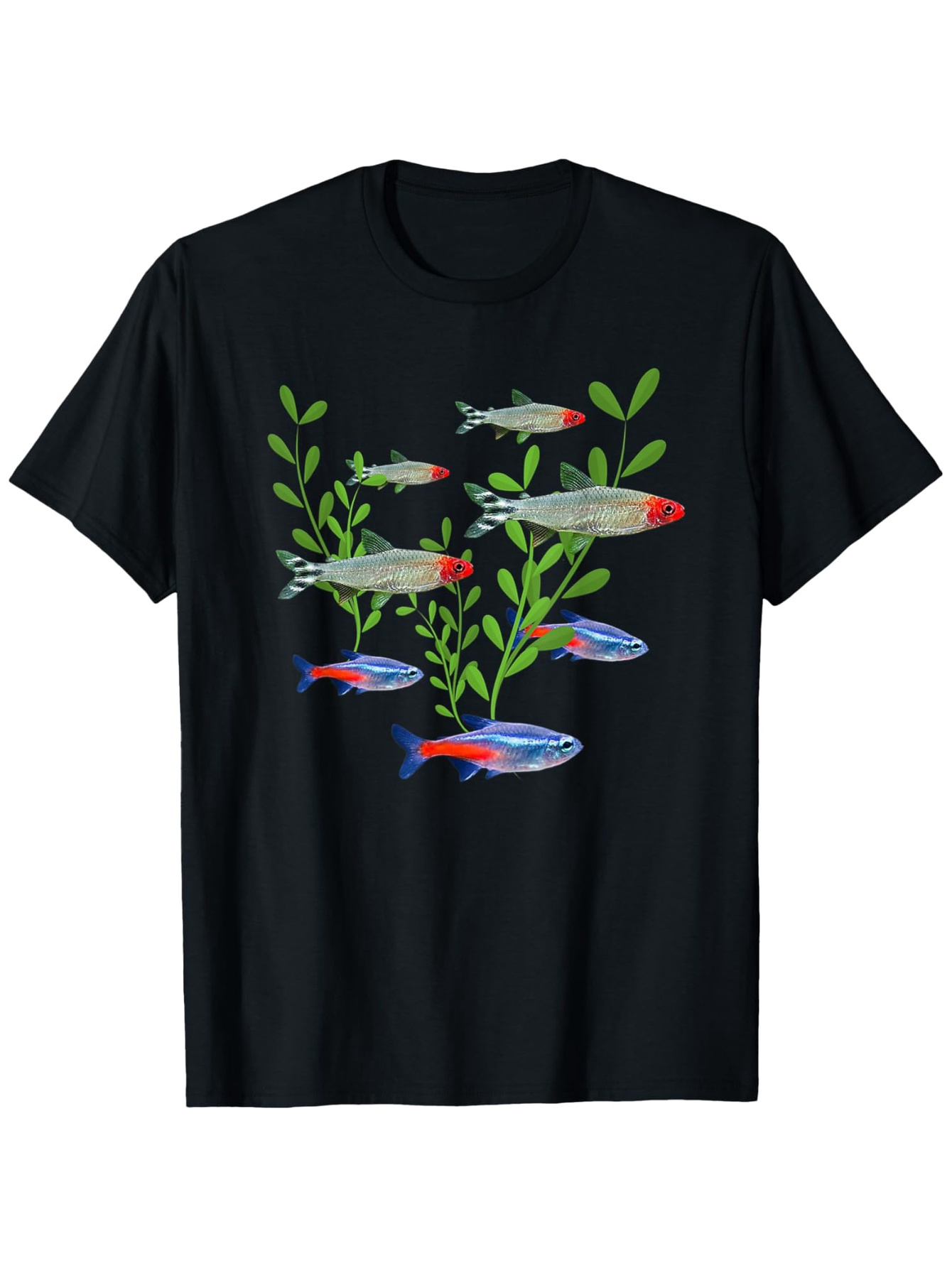 Men's Neon & Rummy Nose Tetras - đánh giá và giá Tetra Fish In Aquarium