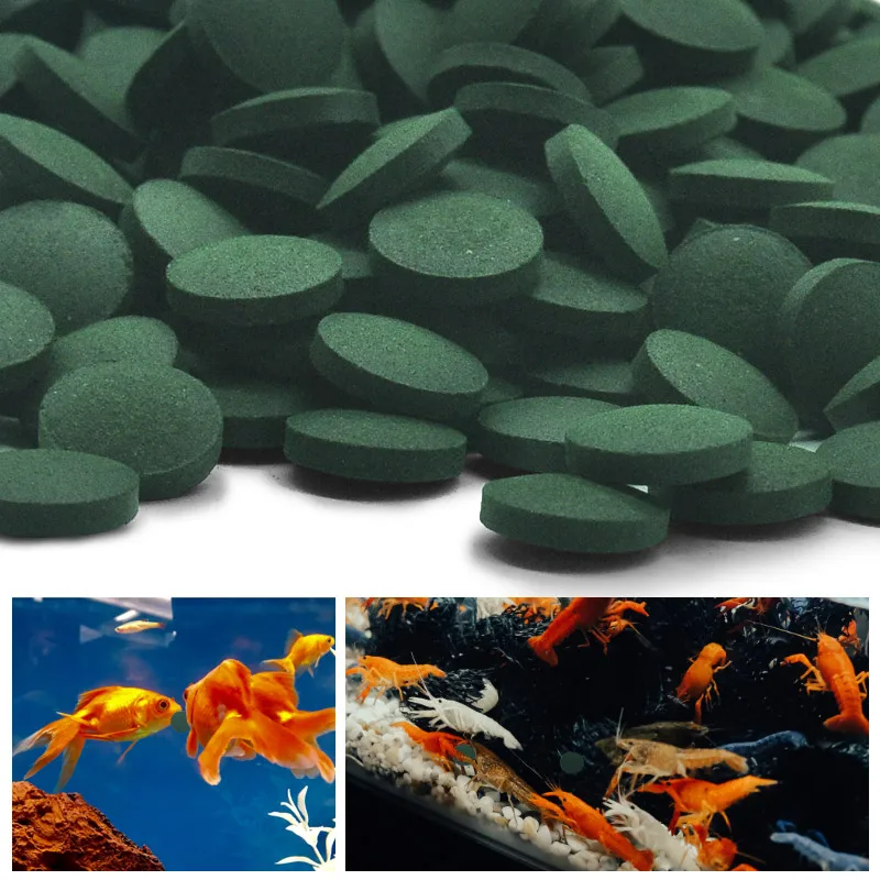 100pcs High Purity Spirulina T - đánh giá và giá Aquarium Fish Vitamin