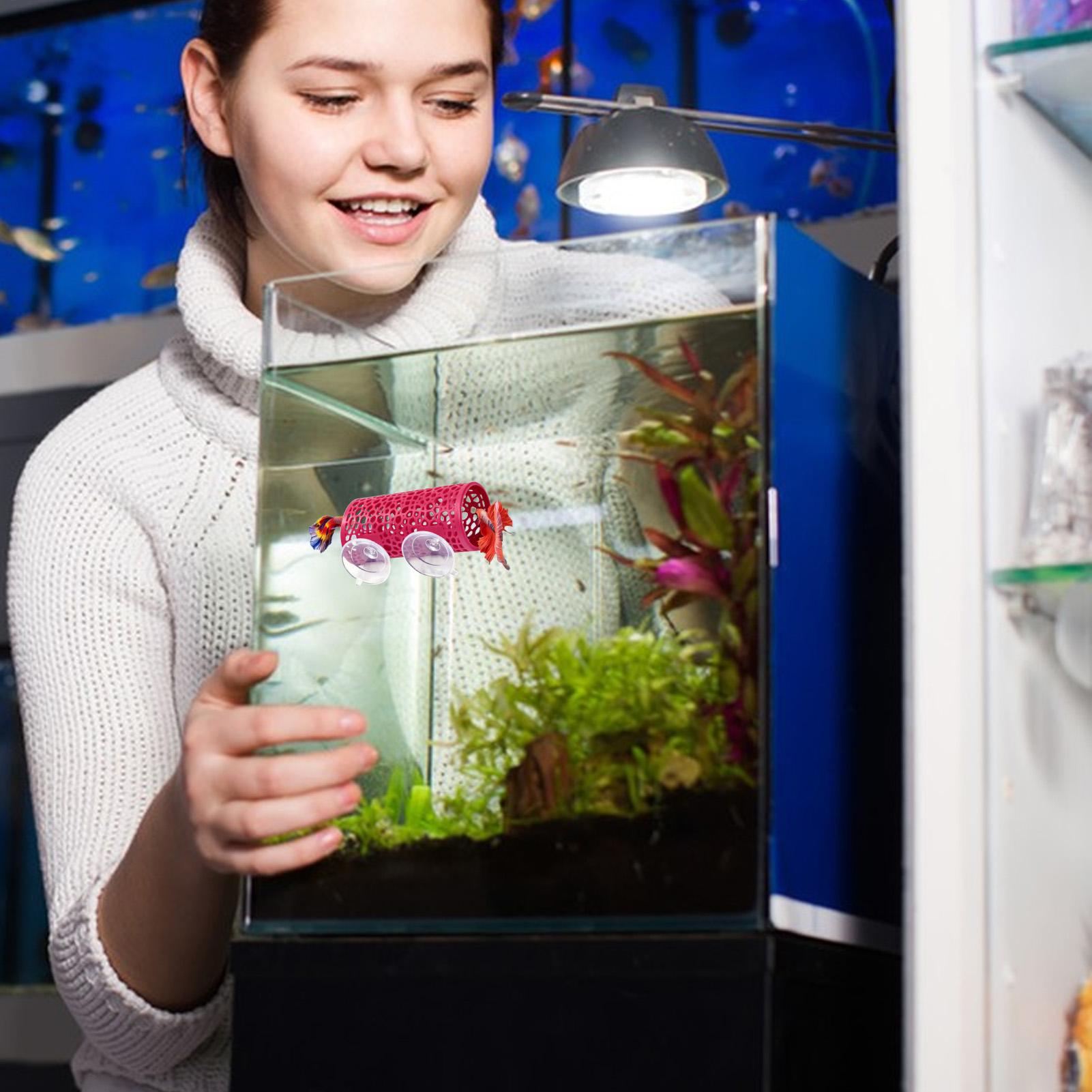 Betta Habitat Resting Shelter  - đánh giá và giá Aquarium Fish Cichlid