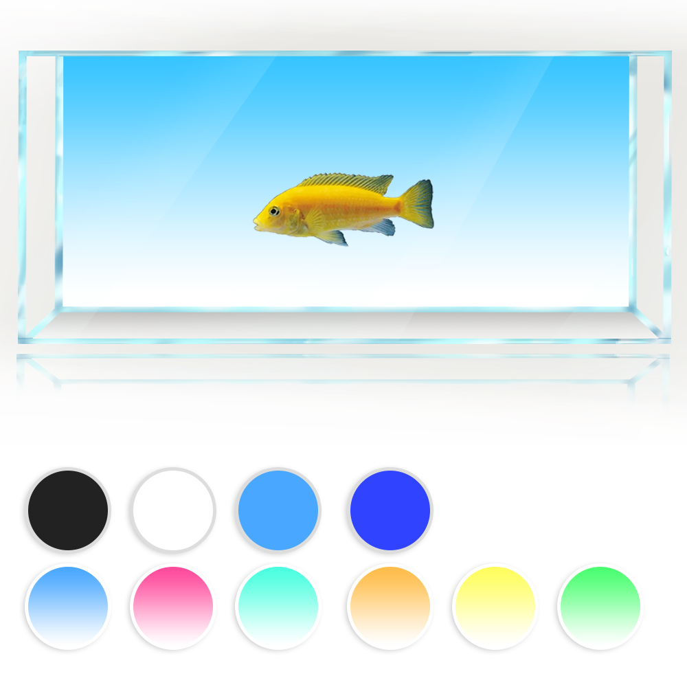 Cá Nền Trắng Vàng Xanh Lá Xanh - đánh giá và giá Aquarium Fish Yellow And Black
