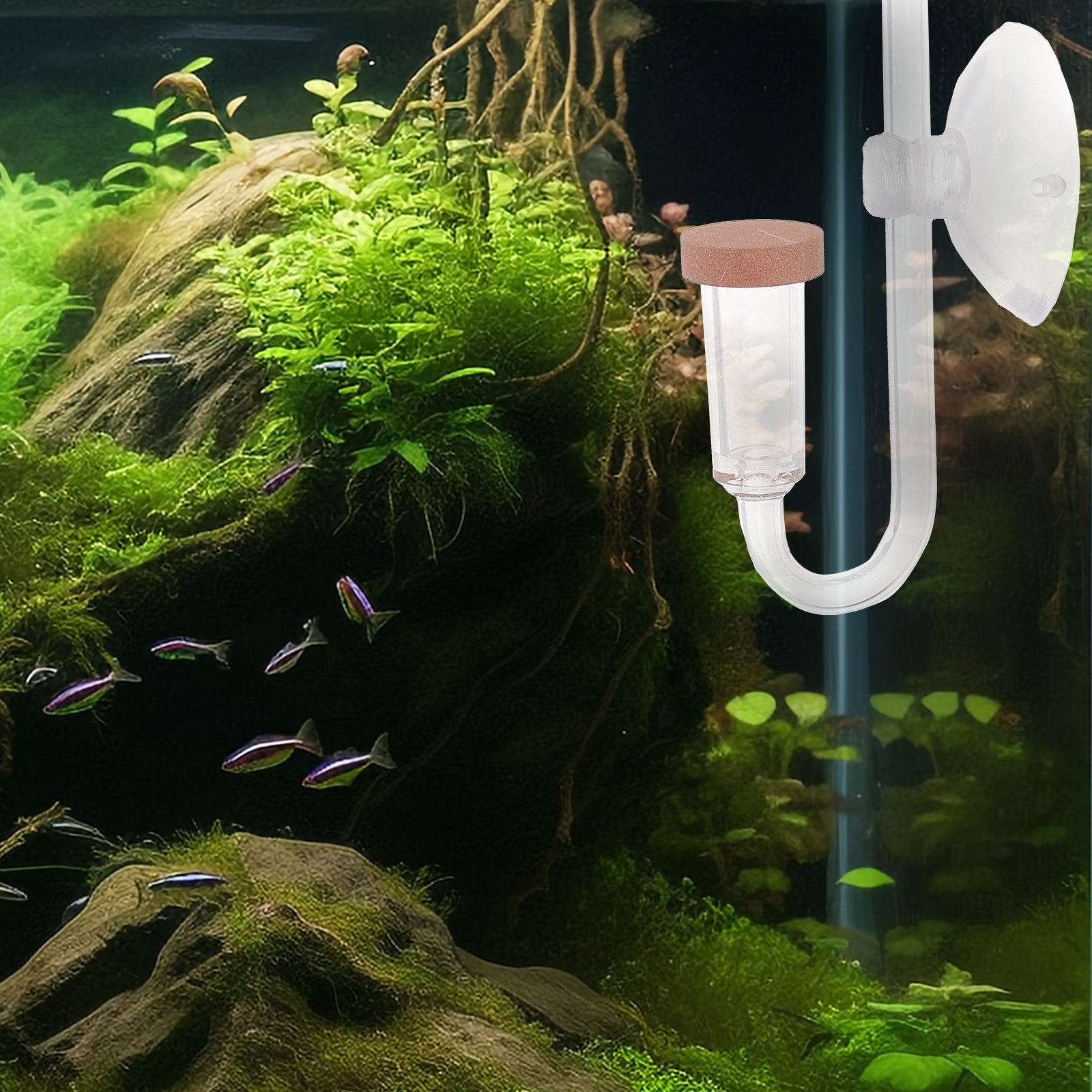 Fish Tank Co2 Refiner Transpar - đánh giá và giá Aquarium Fish Rate