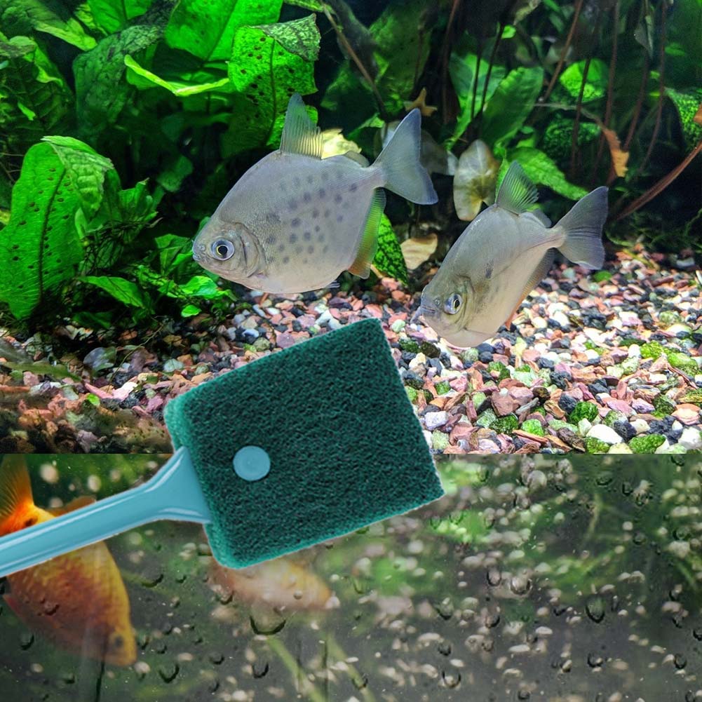 Double-sided Fish Tank Sponge  - đánh giá và giá Aquarium Fish Tank Cleaner