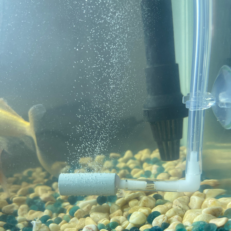 CO2 System Regulator Excellent - đánh giá và giá Aquarium Fish Rate