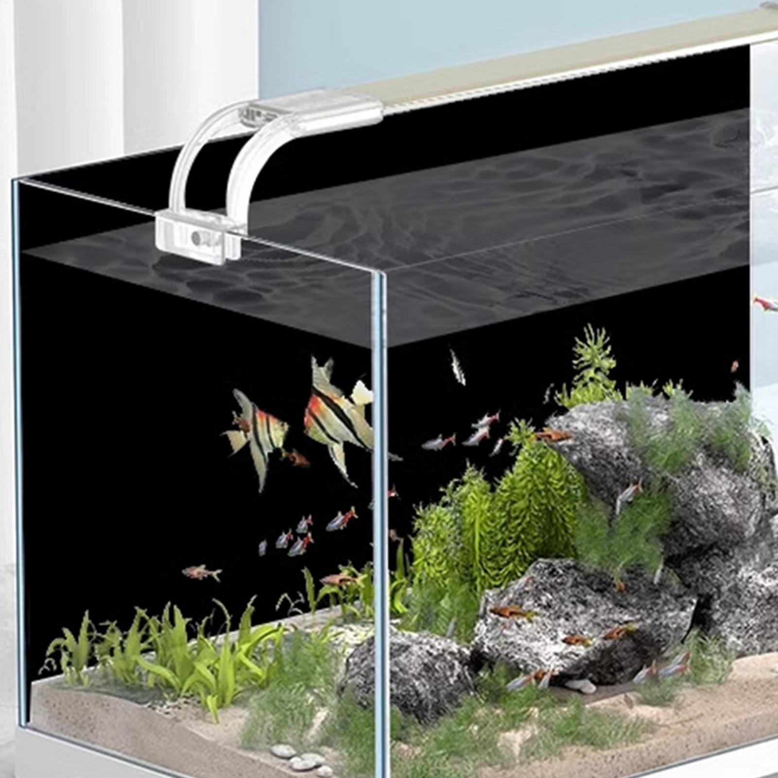 Black Aquarium Background Stat - đánh giá và giá Aquarium Fish Black