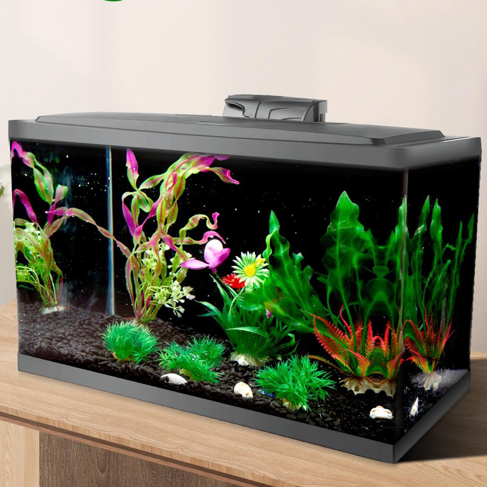 Black Aquarium Background Stat - đánh giá và giá Aquarium Fish Black