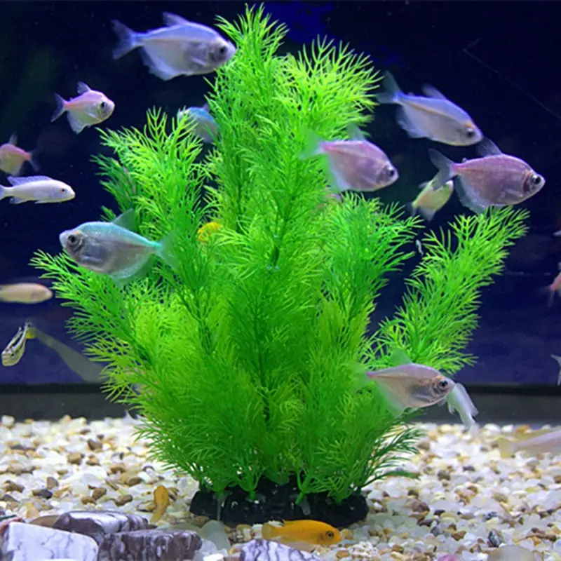 Artificial Aquarium Decor Plan - đánh giá và giá Aquarium Fish Enrichment