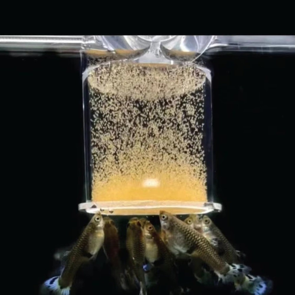 Acrylic Brine Shrimp Feeder Fi - đánh giá và giá Aquarium Fish Vitamin
