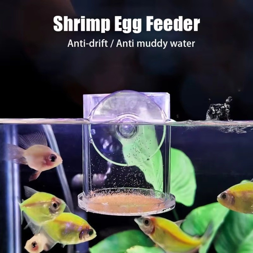 Acrylic Brine Shrimp Feeder Fi - đánh giá và giá Aquarium Fish Vitamin