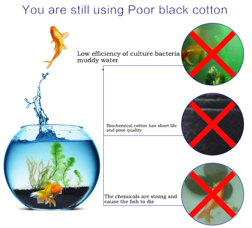 Bể Cá Cảnh Sinh Hóa Bông Lọc C - đánh giá và giá Aquarium Fish Black