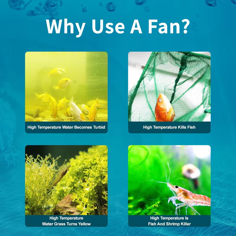Jebao Jecod ACF Series Aquariu - đánh giá và giá Fish Co Aquarium
