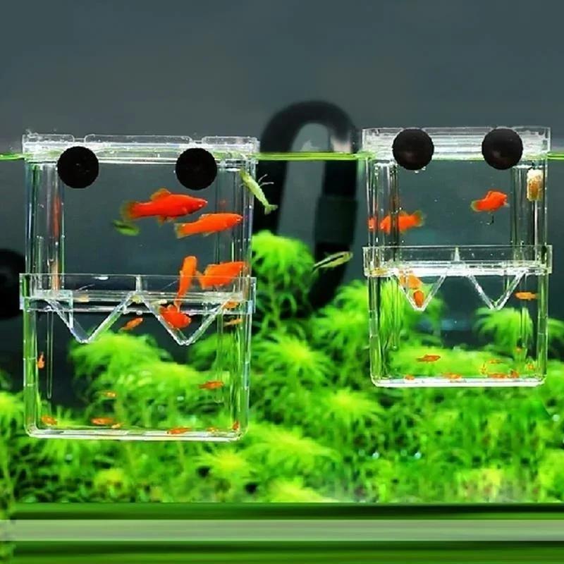Transparent Fish Aquarium High - đánh giá và giá Aquarium Fish In Bowl