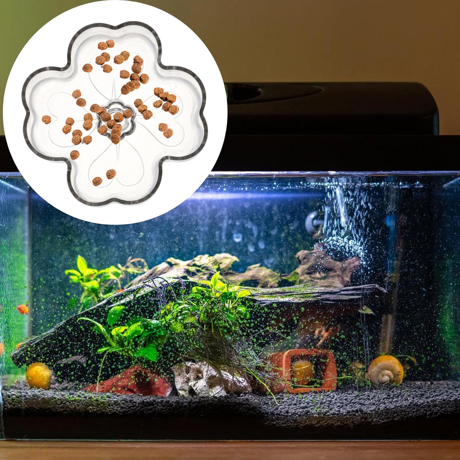 Aquarium Feeder Tray Suction C - đánh giá và giá Tetra Fish In Aquarium