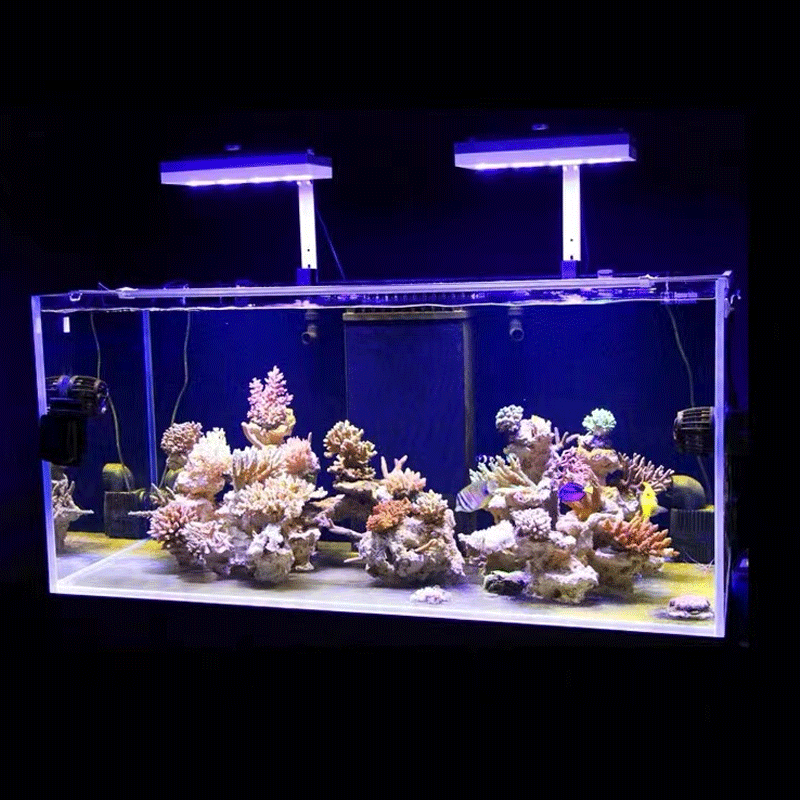 Aqua Illumination AI Hydra 32H - đánh giá và giá Aquarium Fish Black