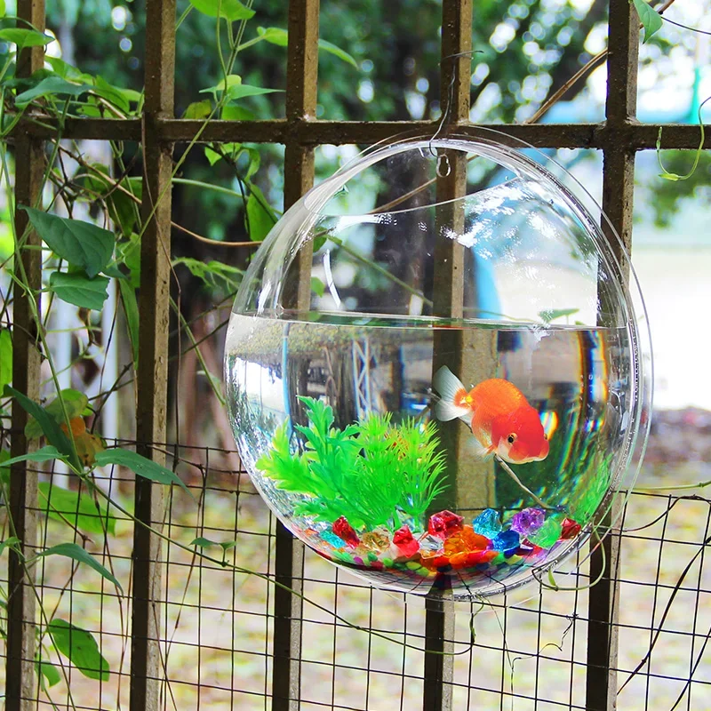 Pinsjar Acrylic Cá Bát Treo Tư - đánh giá và giá Aquarium Fish In Bowl