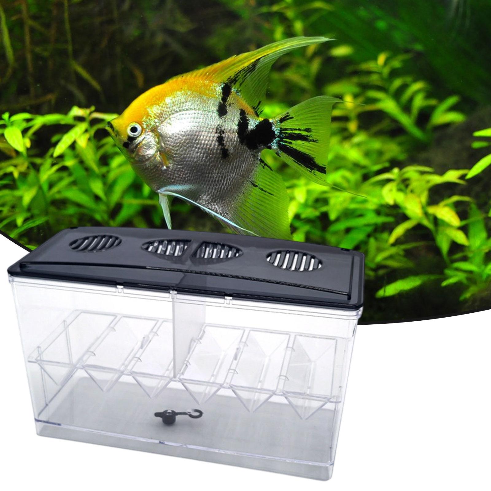 Floating Fish Breeding Isolati - đánh giá và giá Aquarium Fish Tank Cleaner