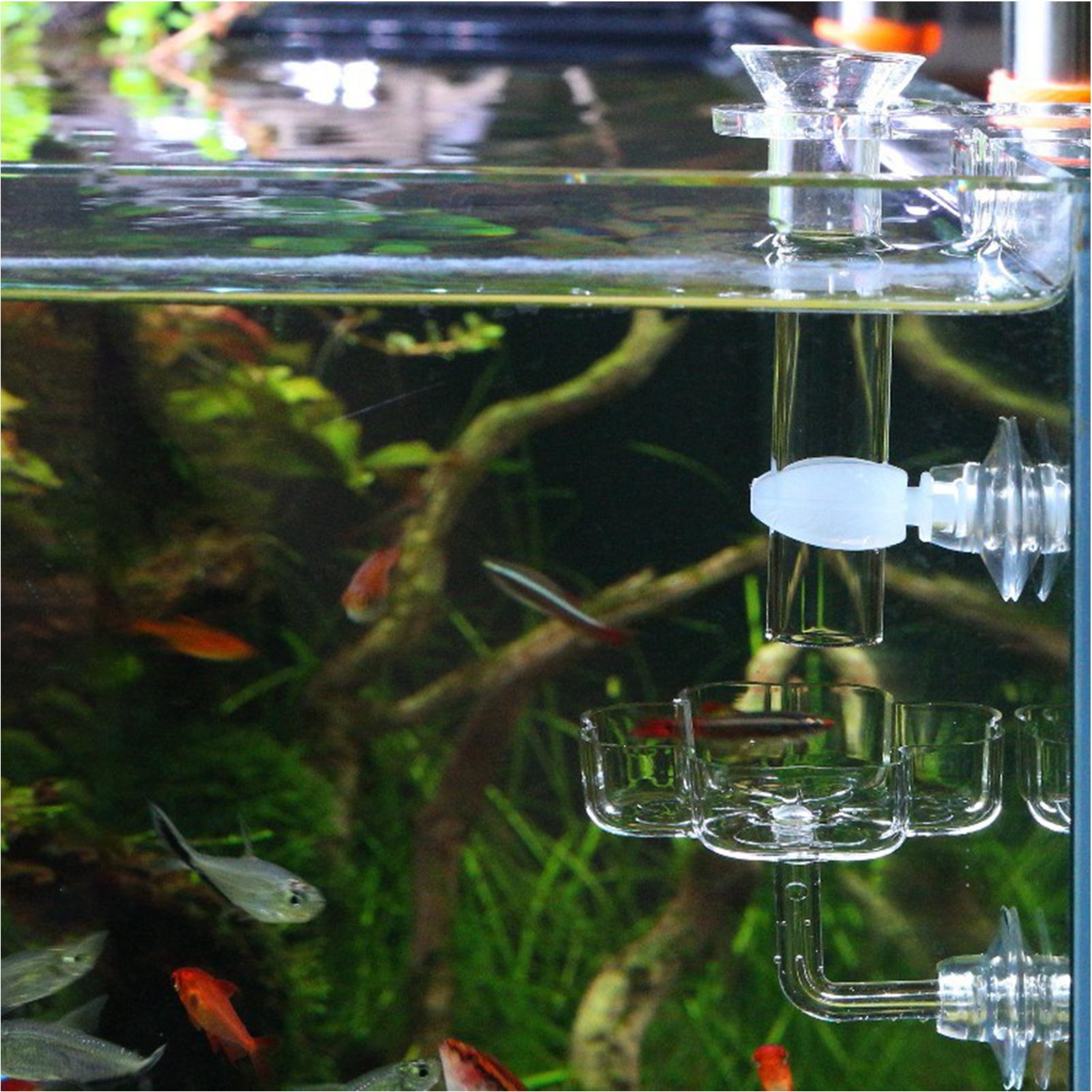 Aquarium Feeder Suction Cup Fl - đánh giá và giá Tetra Fish In Aquarium