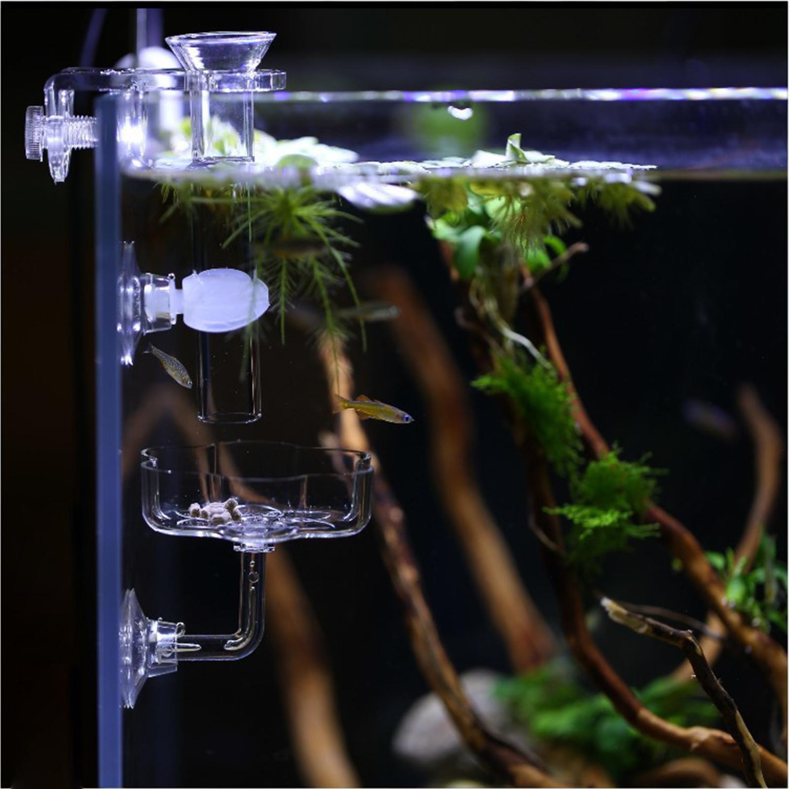 Aquarium Feeder Suction Cup Fl - đánh giá và giá Tetra Fish In Aquarium