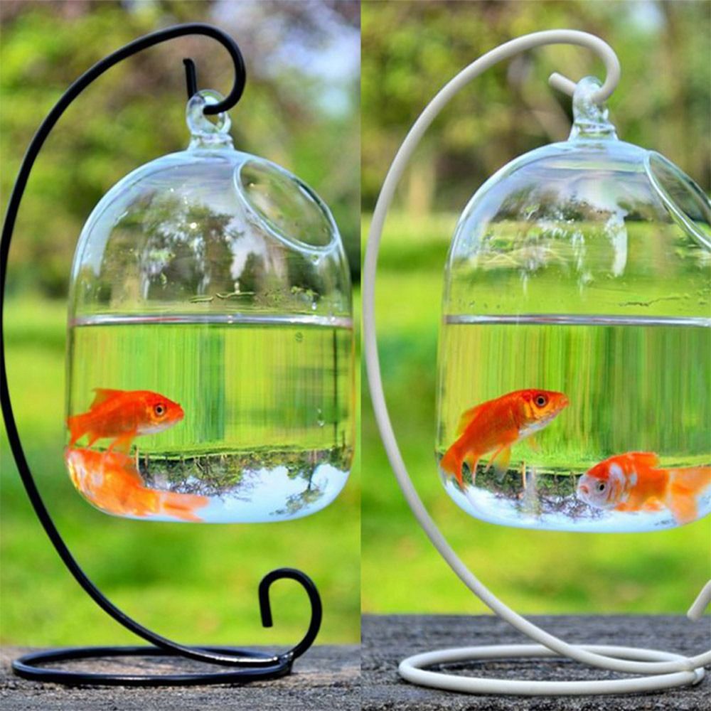 Aquarium Decoration Wall Hangi - đánh giá và giá Aquarium Fish In Bowl