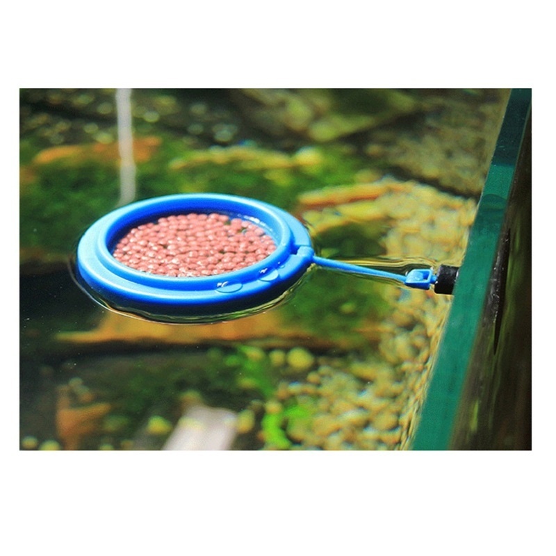 Fish Feeding Ring Feeder Fishi - đánh giá và giá Tetra Fish In Aquarium