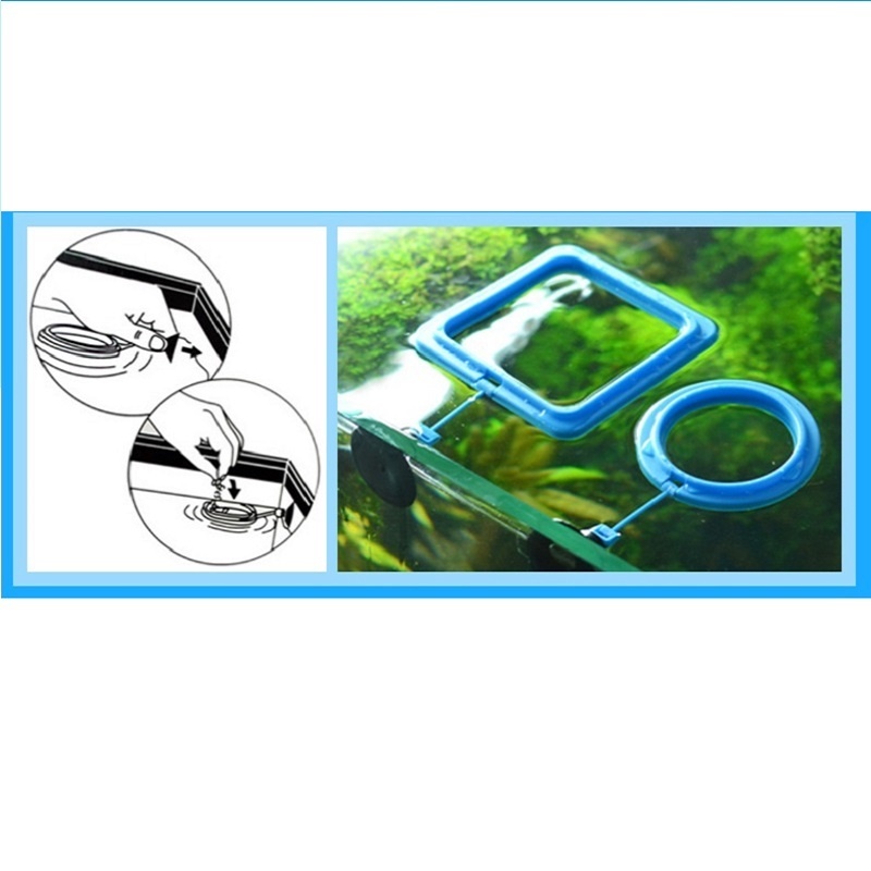 Fish Feeding Ring Feeder Fishi - đánh giá và giá Tetra Fish In Aquarium