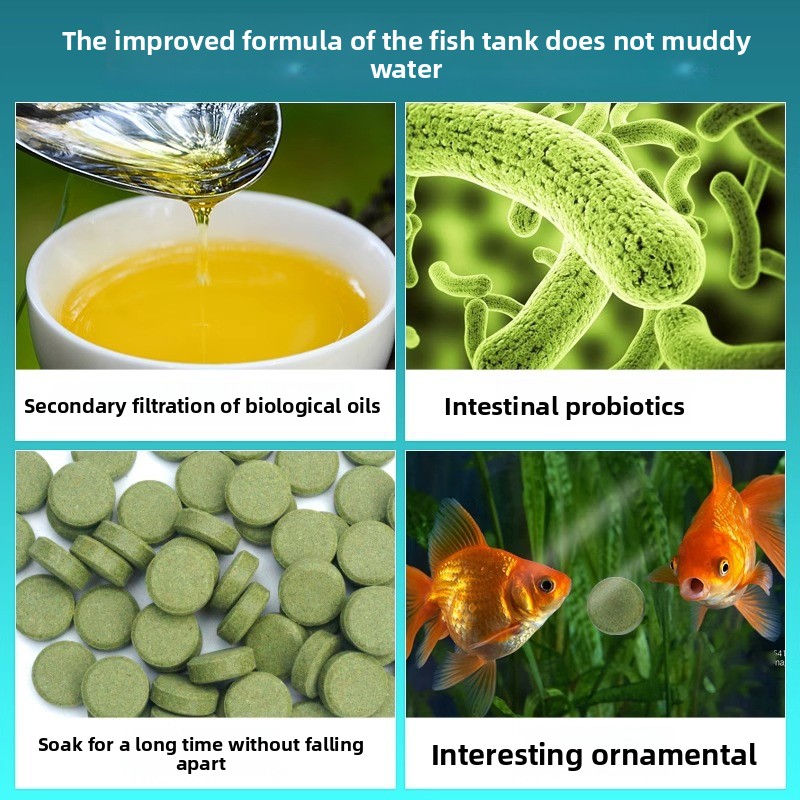cmomo Tropical Fish Food Stick - đánh giá và giá Tetra Fish In Aquarium