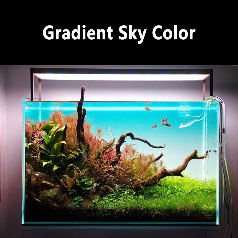 Aquarium Fish Tank Acrylic Gra - đánh giá và giá Aquarium Fish Rate
