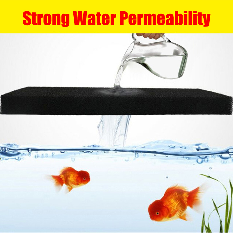 Bể Cá Cảnh Sinh Hóa Bông Lọc T - đánh giá và giá Aquarium Fish Black