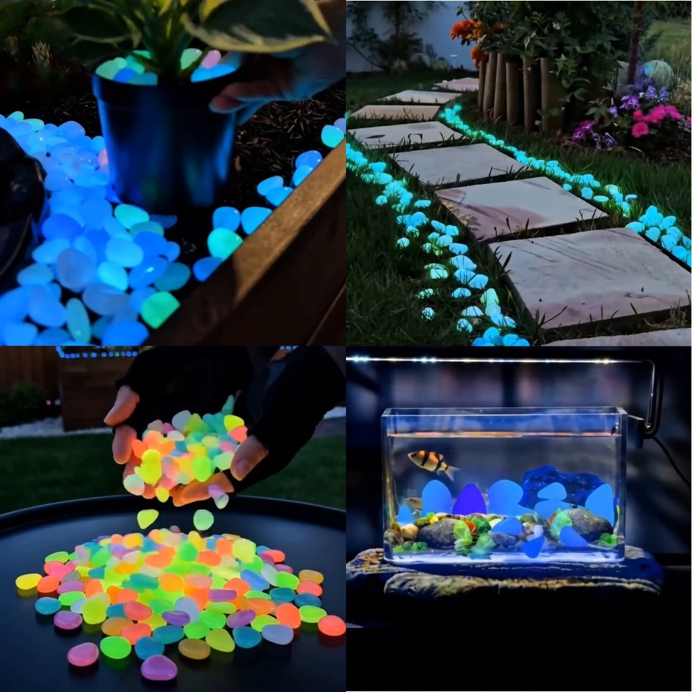 Colorful Glow In The Dark Lumi - đánh giá và giá Aquarium Fish Colorful