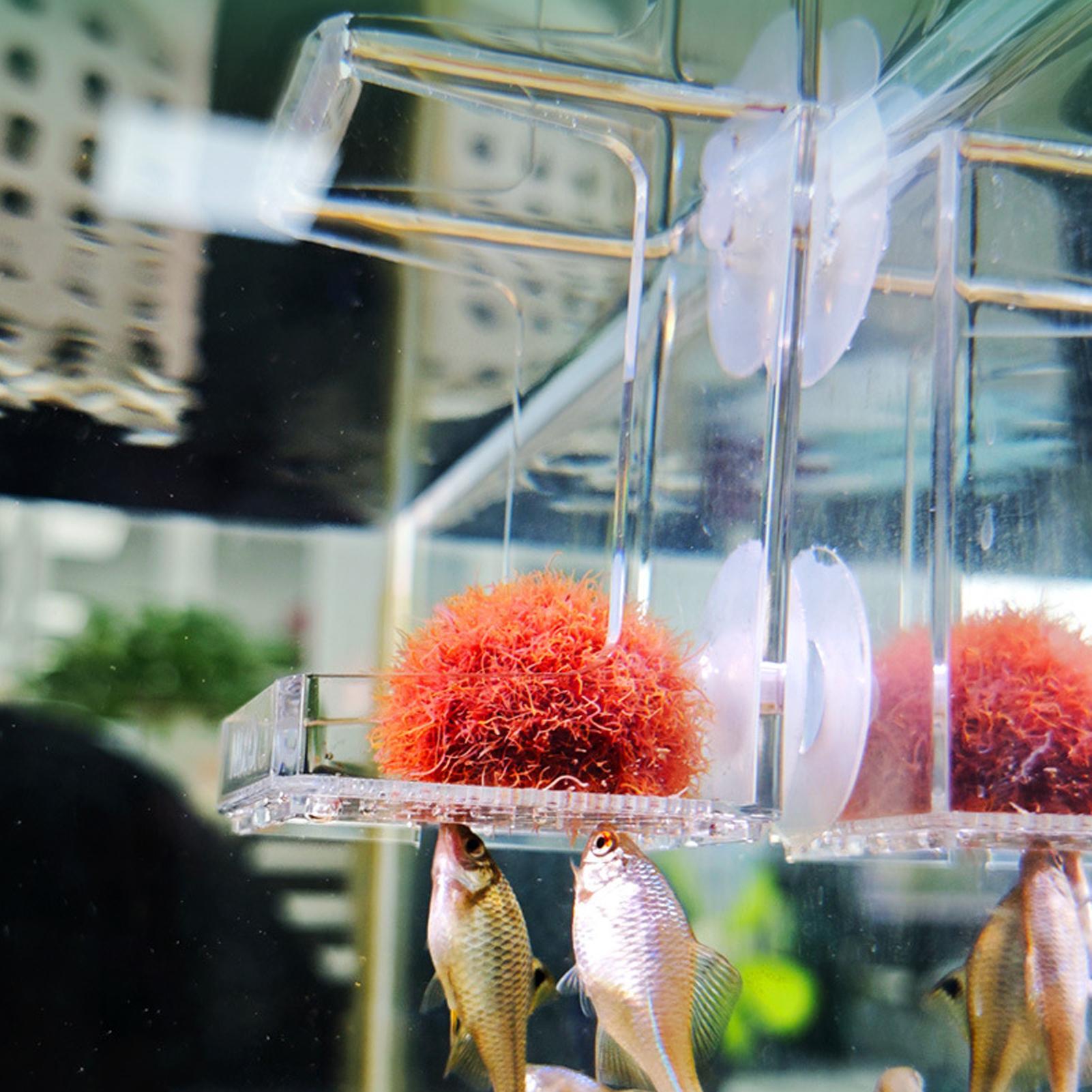 Aquarium Feeder Suction Cup Aq - đánh giá và giá Tetra Fish In Aquarium