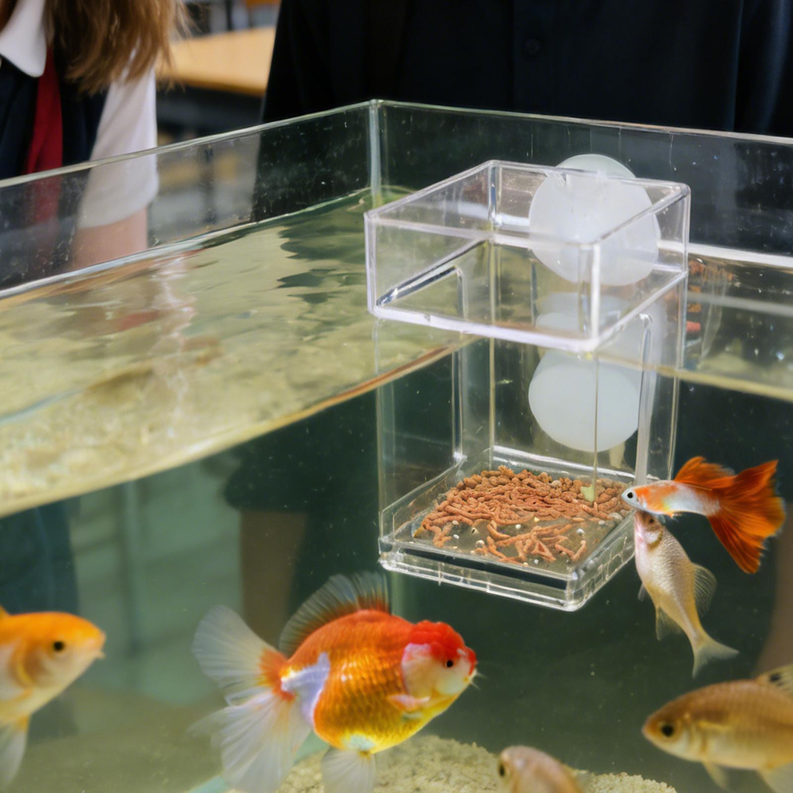 Aquarium Feeder Suction Cup Aq - đánh giá và giá Tetra Fish In Aquarium