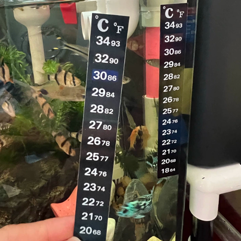 1/5 PCS High-Precision Thermom - đánh giá và giá Aquarium Fish Colorful