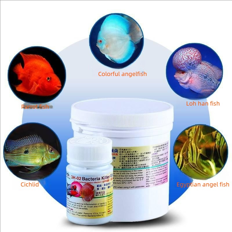 Aquarium Fish Treatment for In - đánh giá và giá Aquarium Fish Cichlid