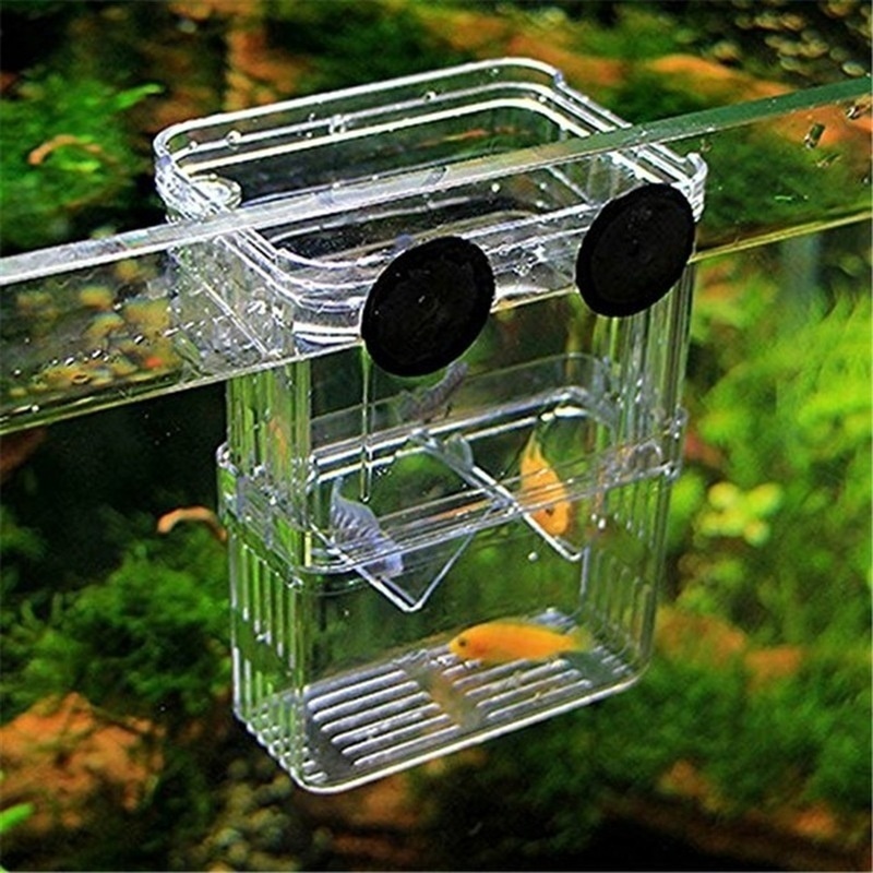 Multifunctional Fish Aquarium  - đánh giá và giá Aquarium Fish In Bowl