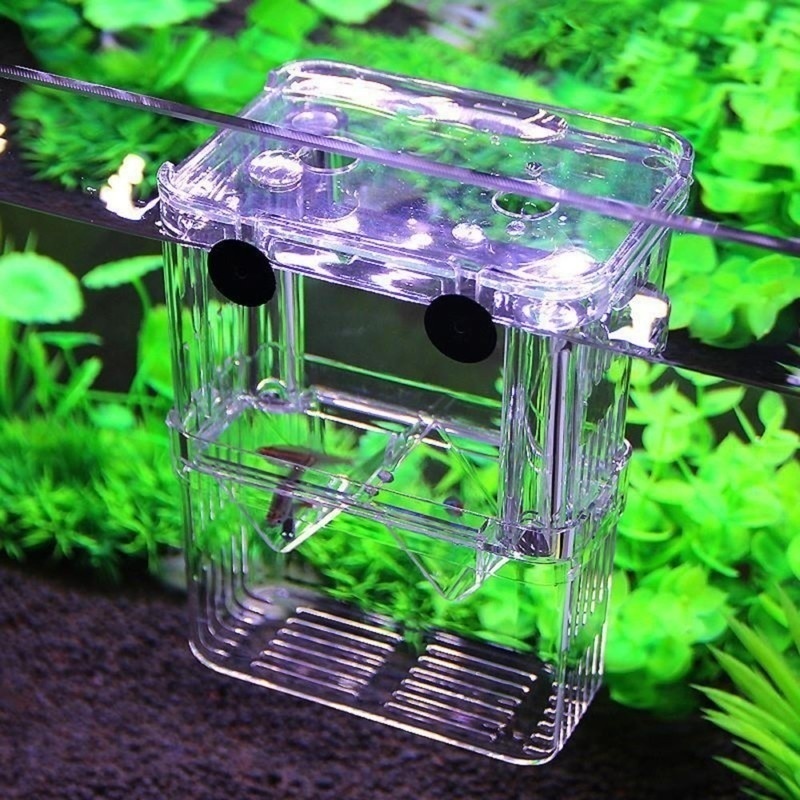 Multifunctional Fish Aquarium  - đánh giá và giá Aquarium Fish In Bowl